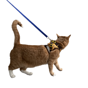 Argylle X Travel Cat Harness & Leash