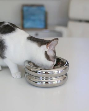 Catenary Home - Elevated Halo Pet Bowl Chrome