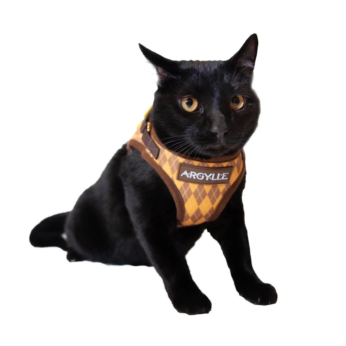Argylle X Travel Cat Harness & Leash