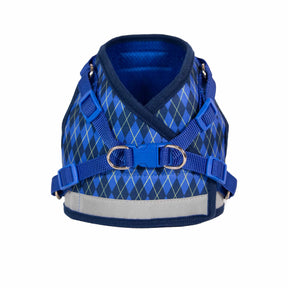 Argylle X Travel Cat Harness & Leash