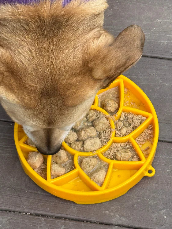 Enrichment Tray Slow Feeder - Sunflower Design