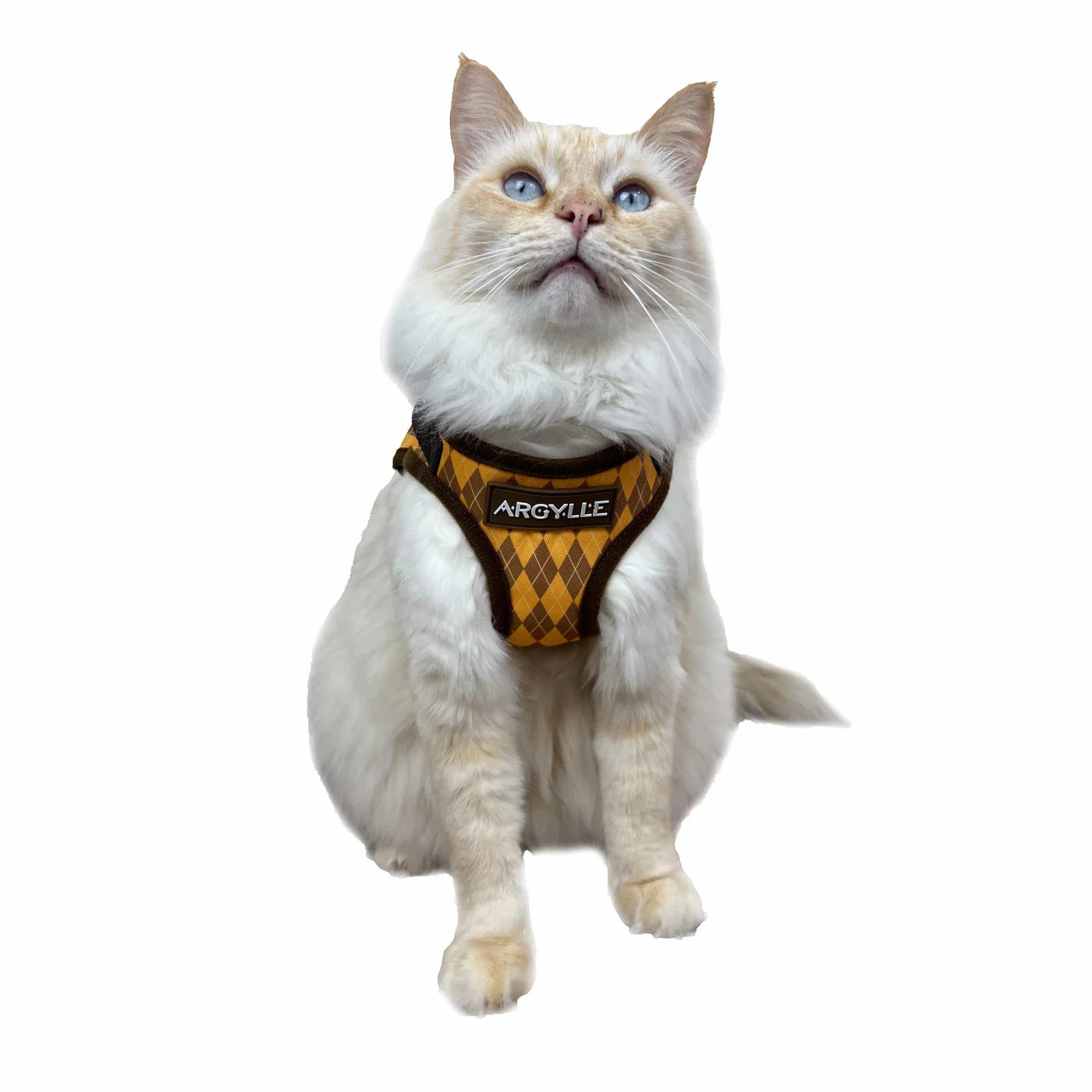 Argylle X Travel Cat Harness & Leash