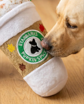 Haute Diggity Dog - Starbucks Pupkin Spice Latte