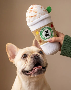 Haute Diggity Dog - Starbucks Pupkin Spice Latte