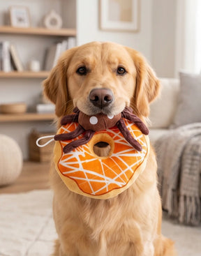 Haute Diggity Dog - Spider Donut