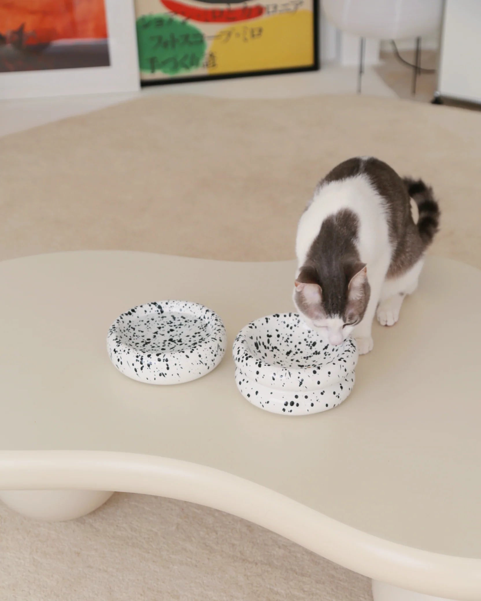 Catenary Home - Halo Pet Bowl In Ink