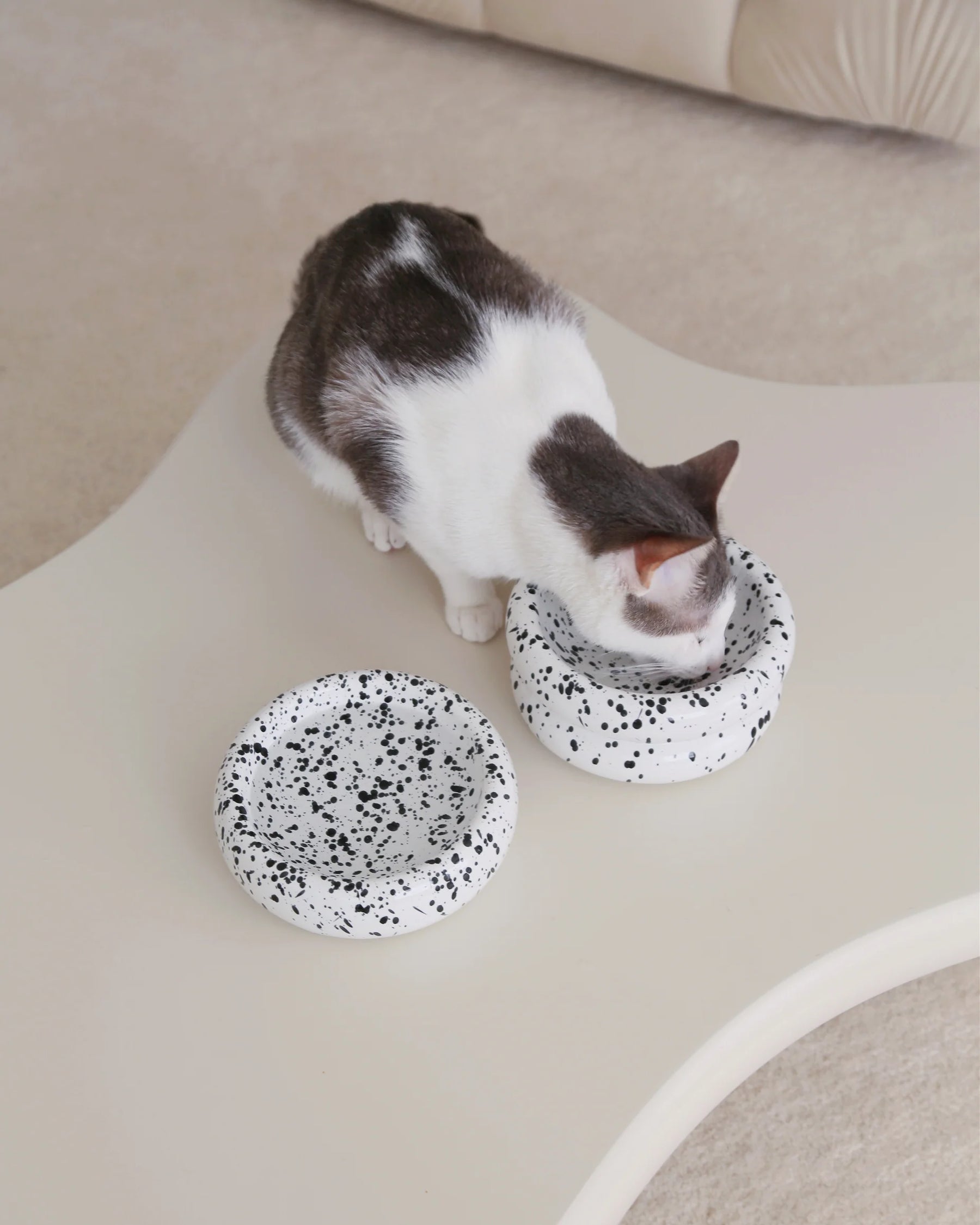 Catenary Home - Halo Pet Bowl In Ink