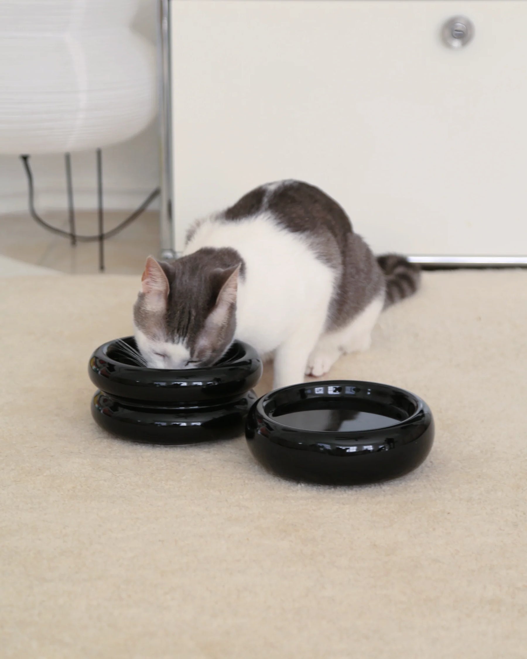 Catenary Home - Halo Pet Bowl Onyx