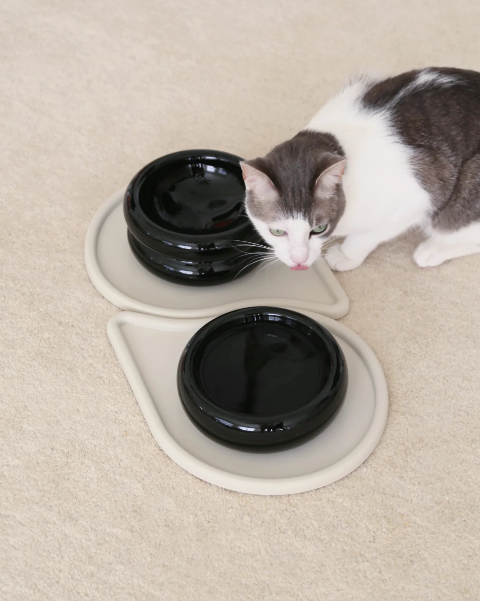 Catenary Home - Halo Pet Bowl Onyx