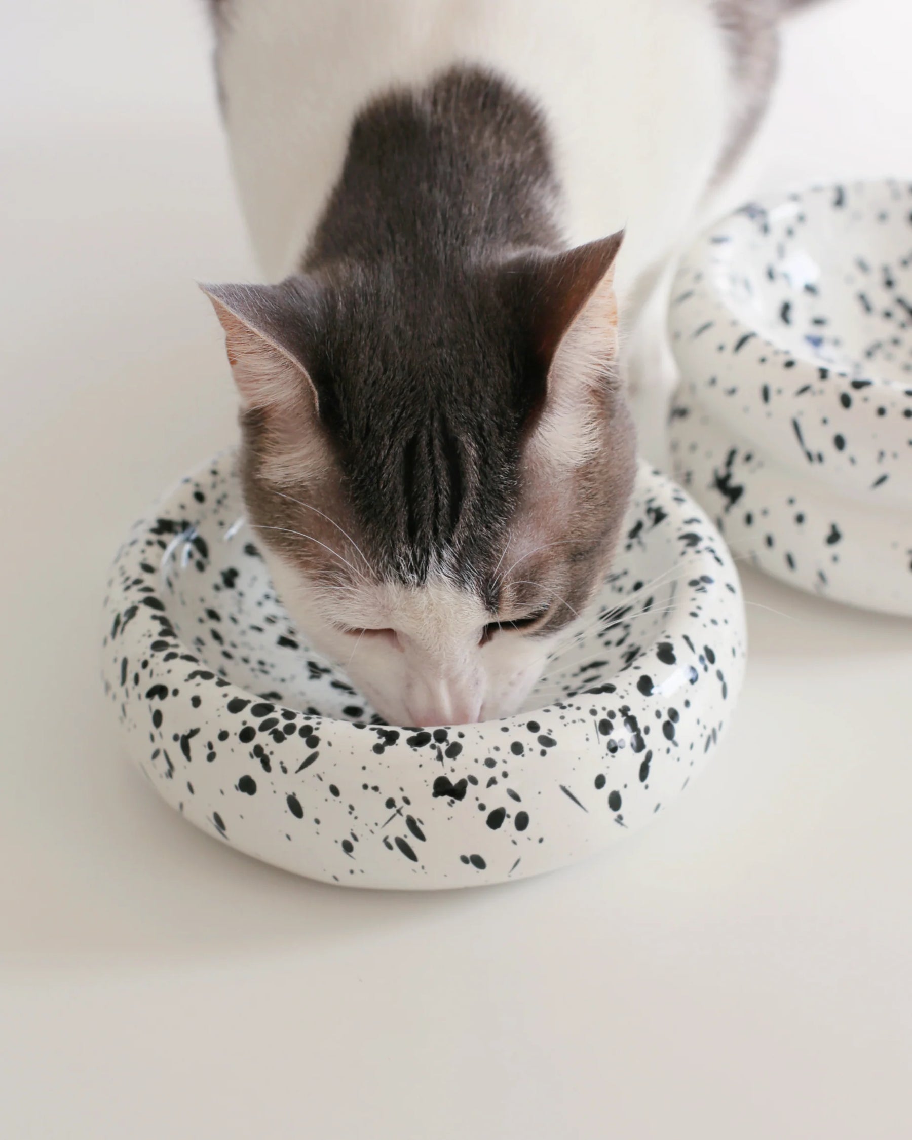 Catenary Home - Halo Pet Bowl In Ink