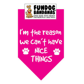 FunDog Bandanas - Dog Bandana I'm The Reason