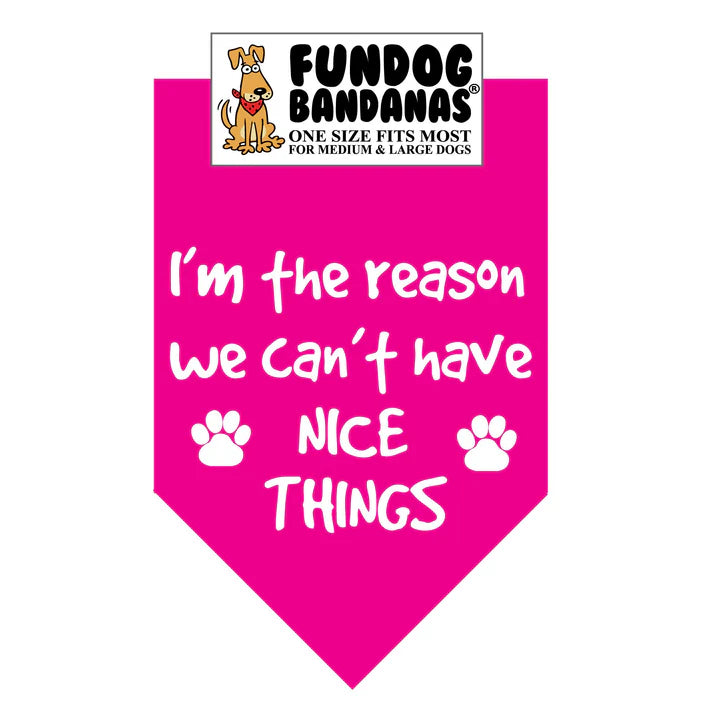 FunDog Bandanas - Dog Bandana I'm The Reason
