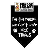 FunDog Bandanas - Dog Bandana I'm The Reason