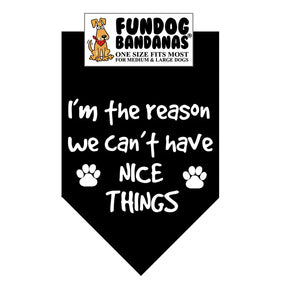 FunDog Bandanas - Dog Bandana I'm The Reason