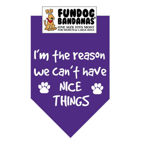 FunDog Bandanas - Dog Bandana I'm The Reason