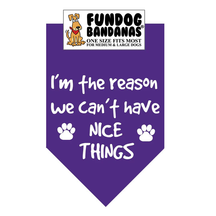 FunDog Bandanas - Dog Bandana I'm The Reason