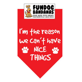 FunDog Bandanas - Dog Bandana I'm The Reason