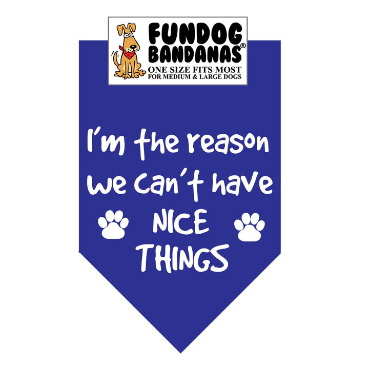 FunDog Bandanas - Dog Bandana I'm The Reason