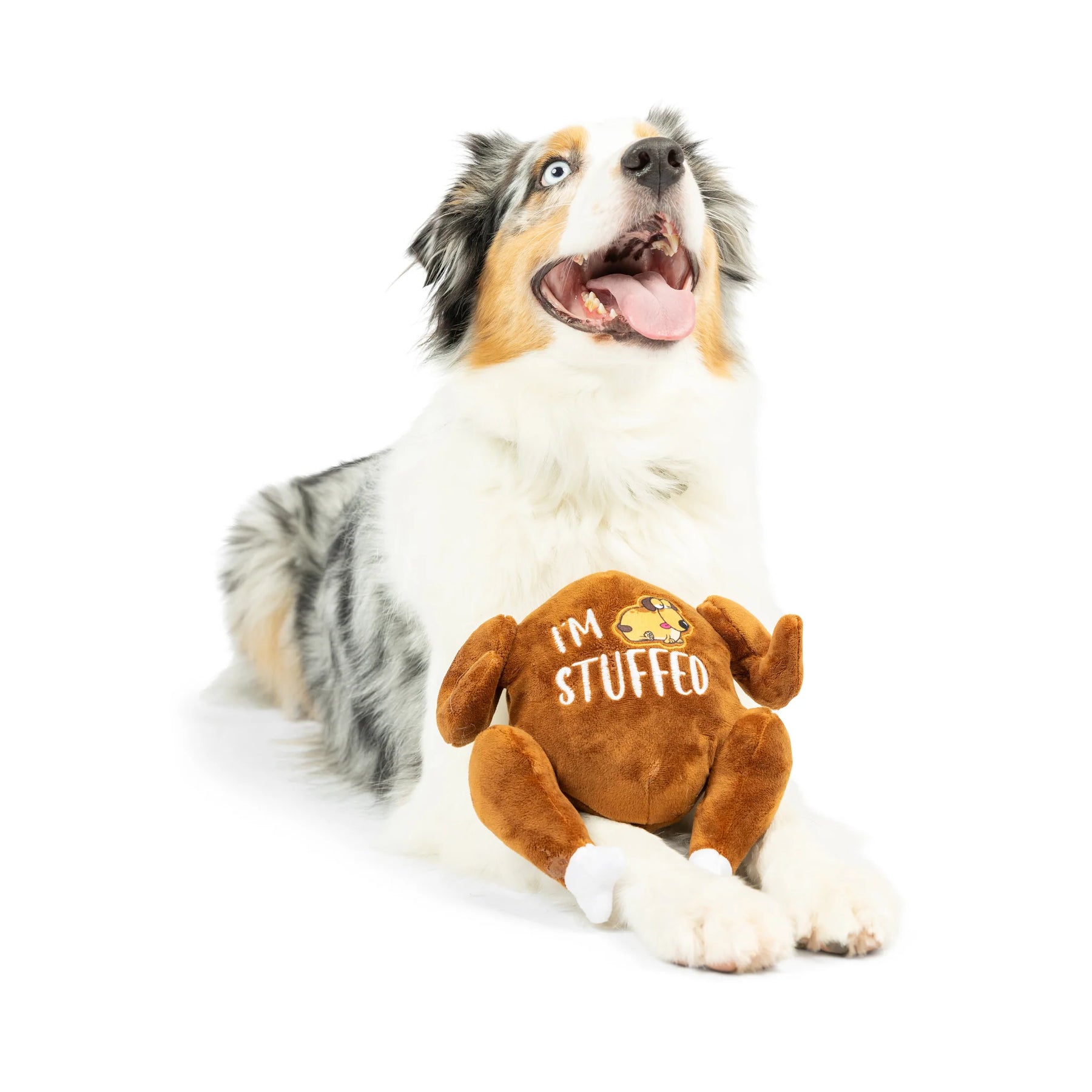 Huxley & Kent - I'm Stuffed Turkey Dog Toy