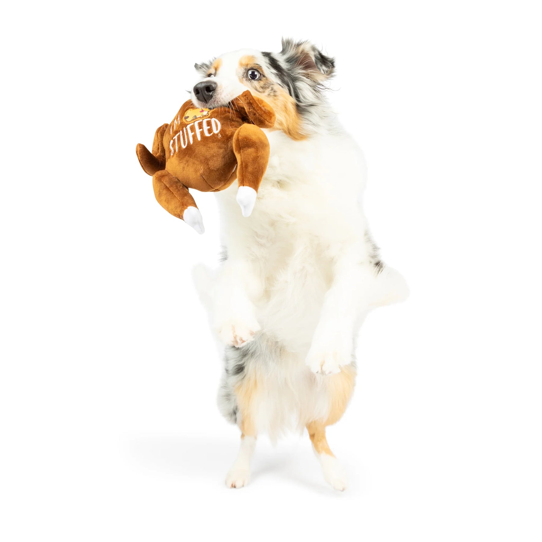 Huxley & Kent - I'm Stuffed Turkey Dog Toy