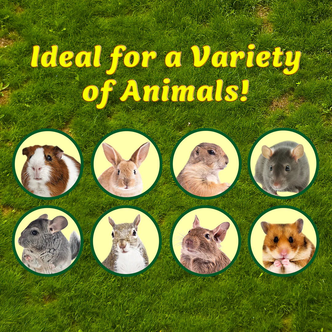 Exotic Nutrition - Celebration Basket