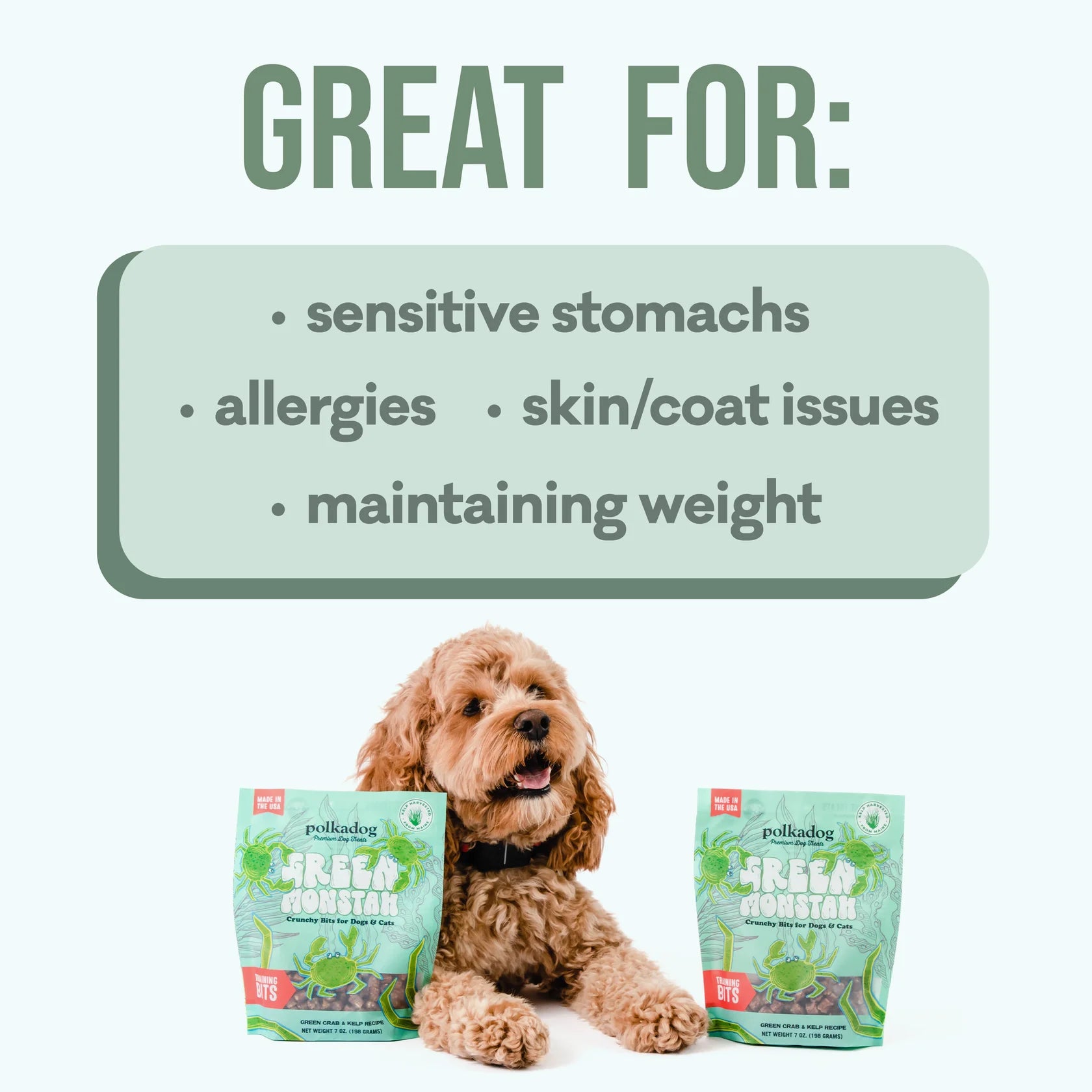 Polkadog - Green Monstah (Training Bits)
