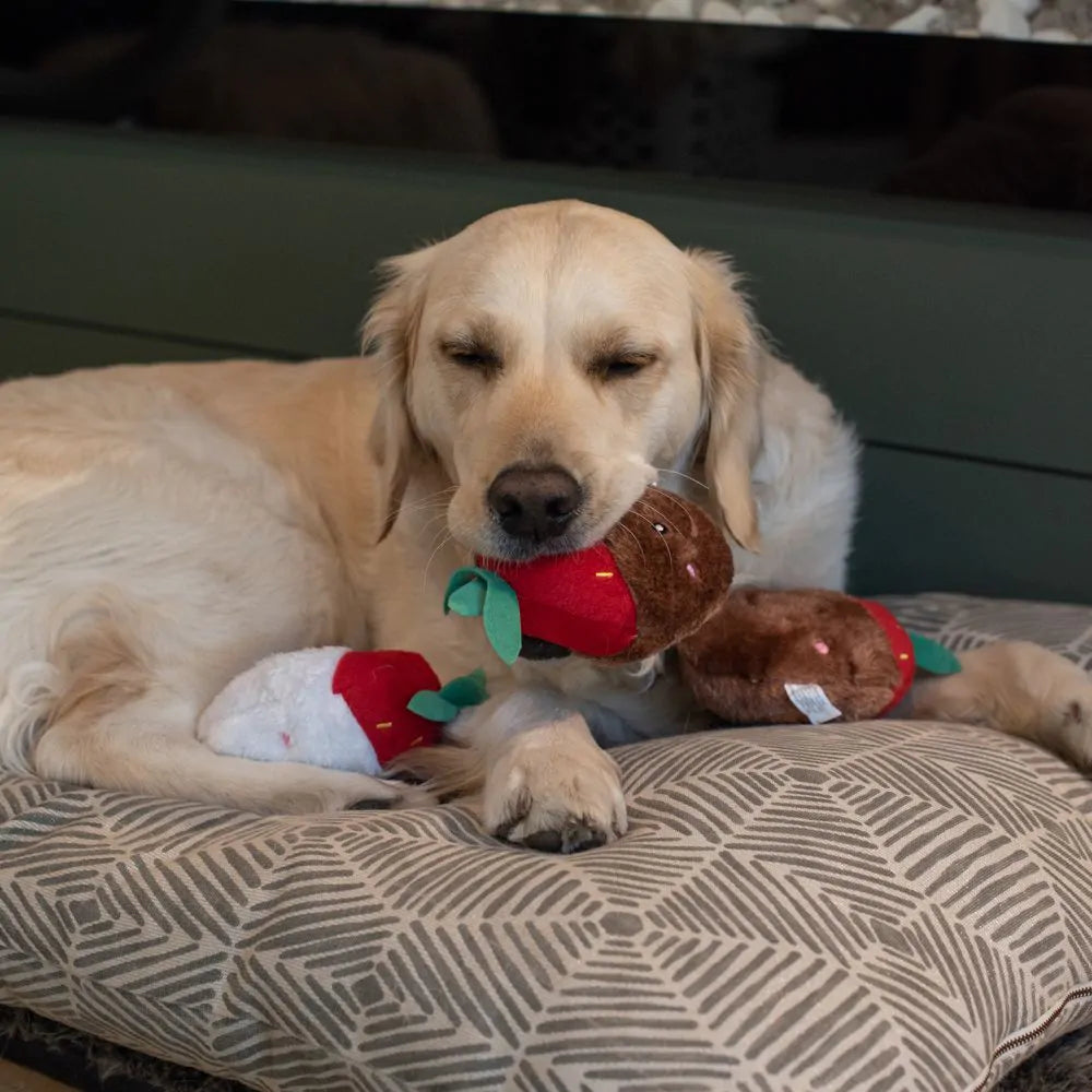 ZippyPaws - Valentines Chocolate Covered Strawberries Dog Toy