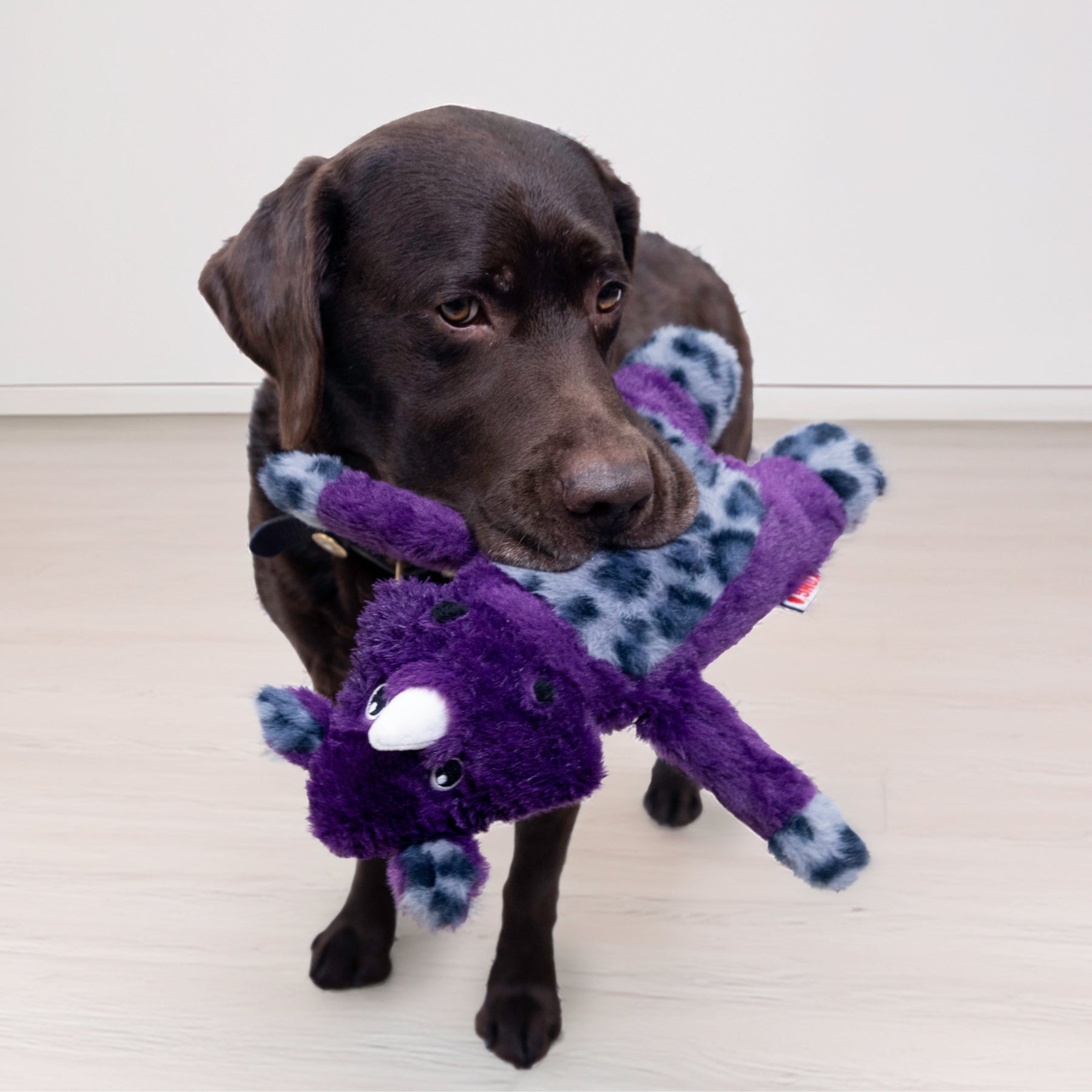 KONG - Jungle Jamz Rhino