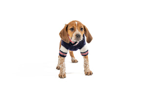 Chilly Dog - Dog Sweater Varsity