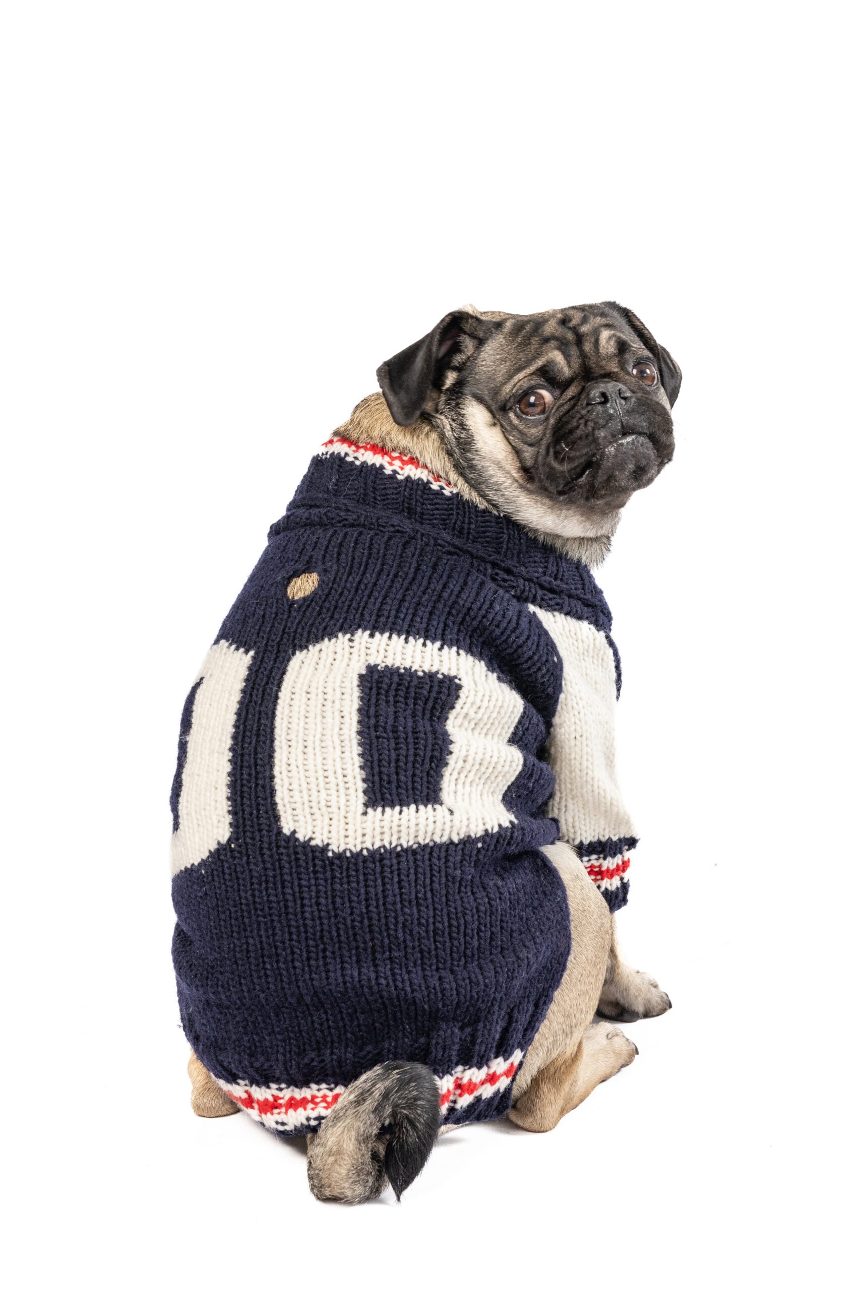 Chilly Dog - Dog Sweater Varsity