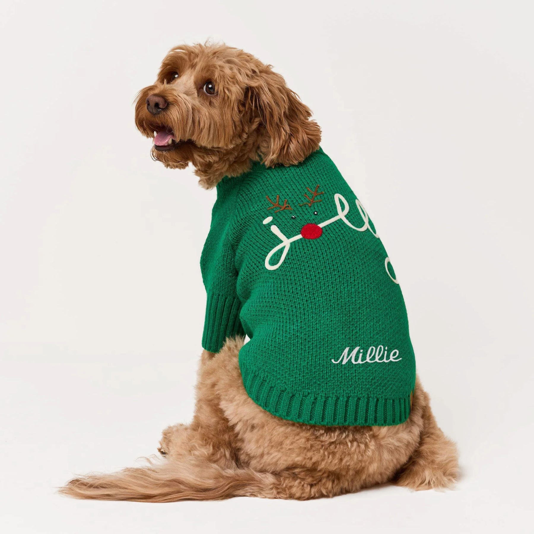 The Foggy Dog - Dog Sweater Jolly