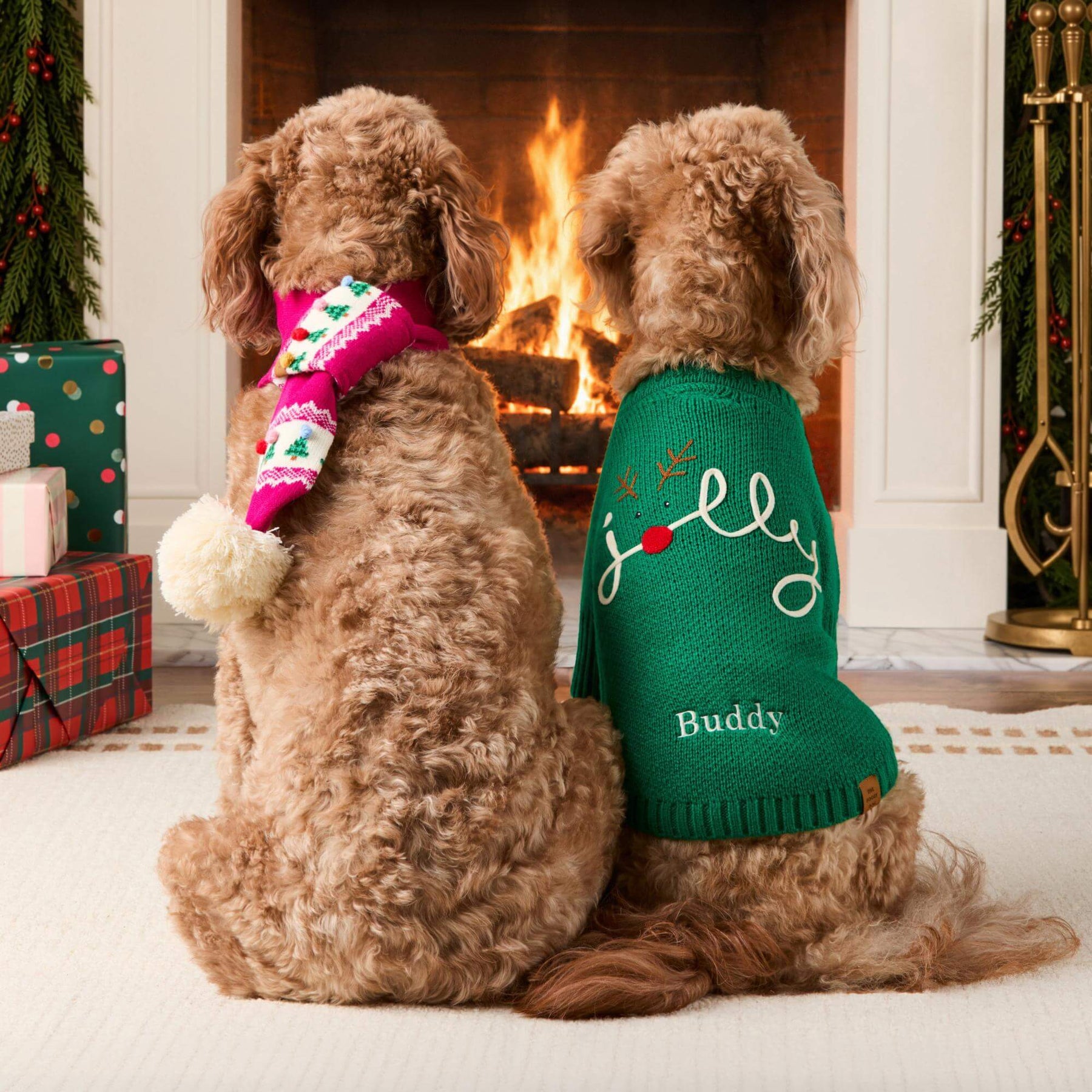 The Foggy Dog - Dog Sweater Jolly