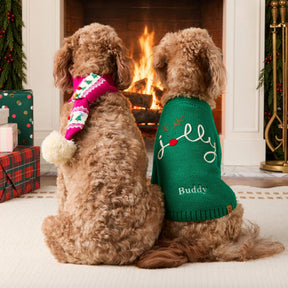 The Foggy Dog - Dog Sweater Jolly