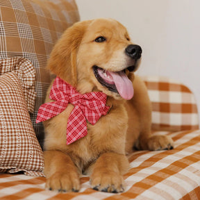 Lady Dog Bow Katherine Plaid