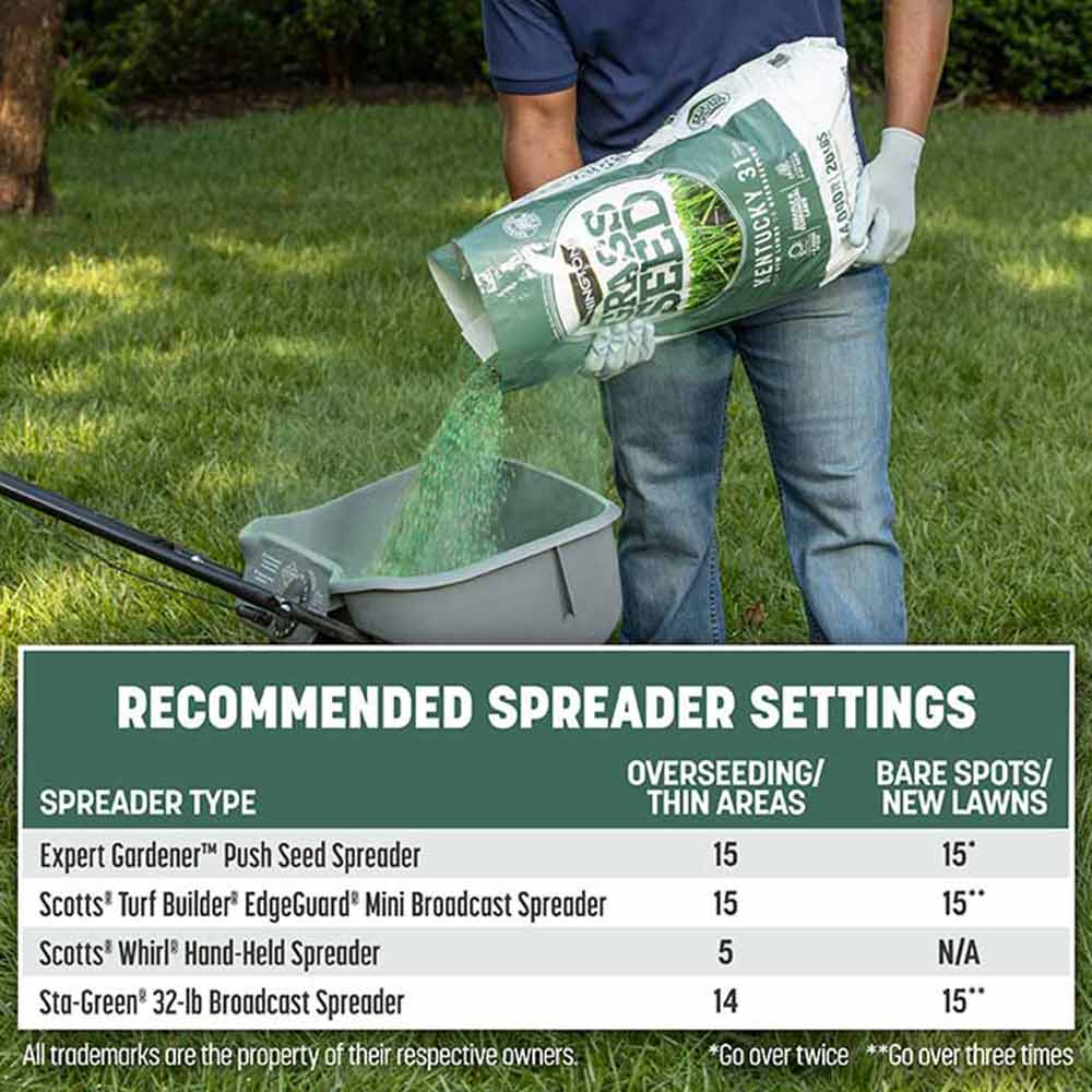 best time to plant grass seed in ky Pennington