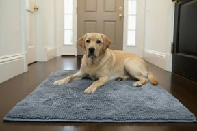 Soggy Doggy Doormat - Doormat Absorbent Microfiber Chenille