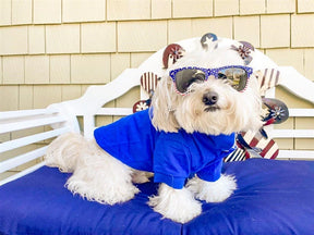 Parisian Pet - Dog Shirt Polo Blue