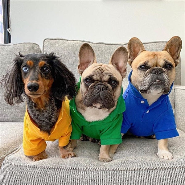 Parisian Pet - Dog Shirt Polo Blue