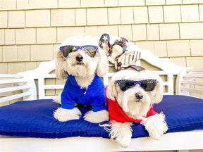 Parisian Pet - Dog Shirt Polo Blue