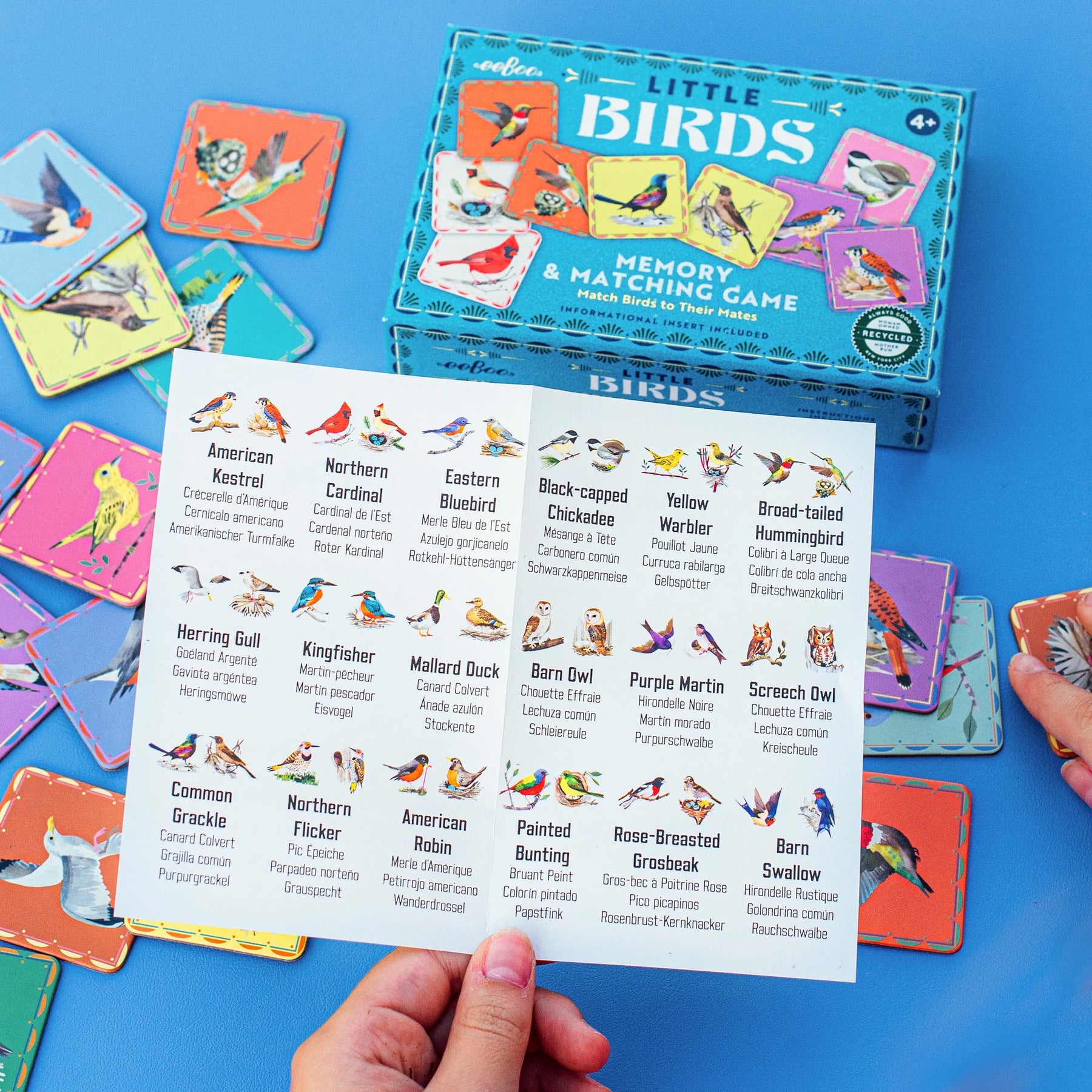 Eeboo Memory eeBoo - Memory & Matching Game: Birds