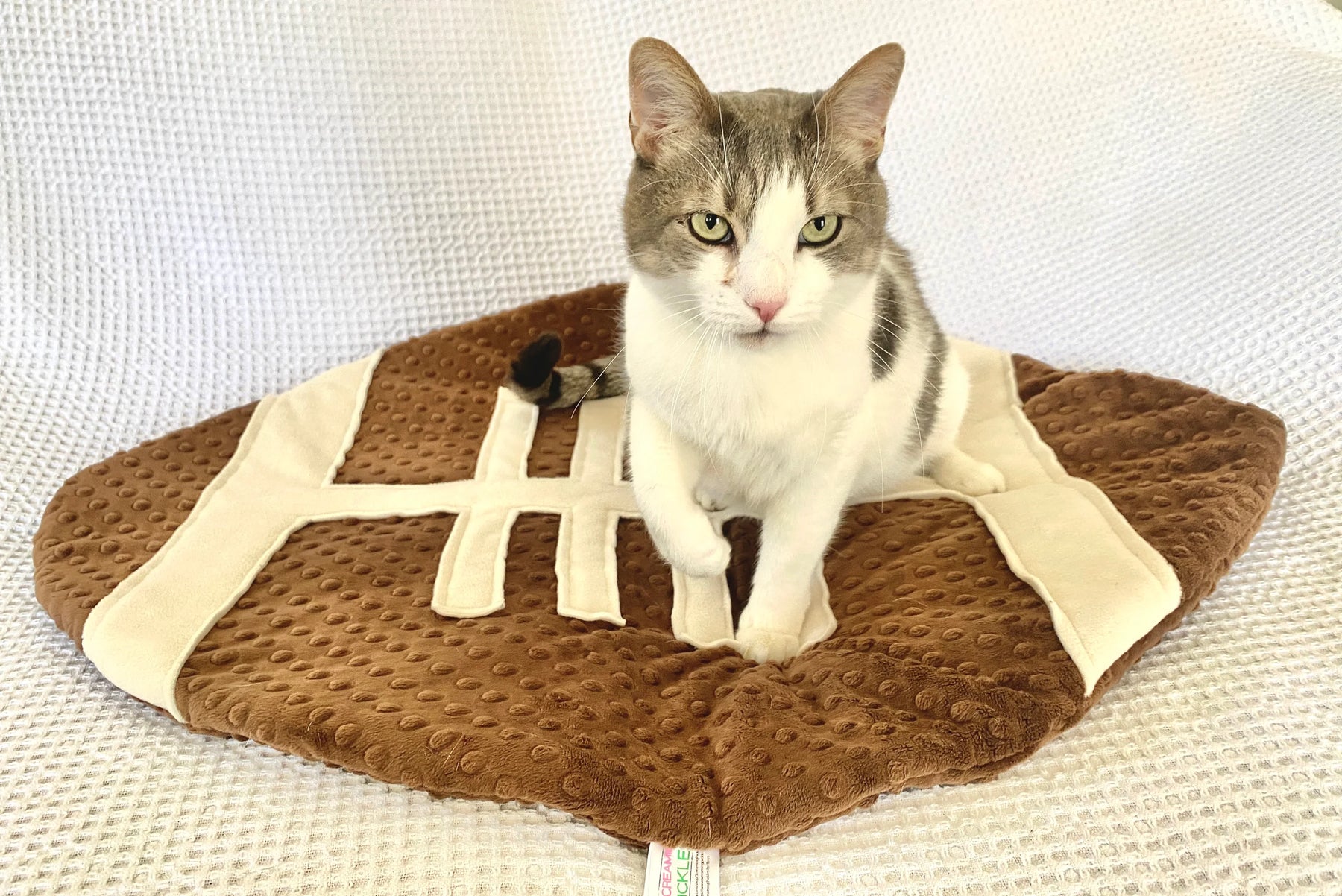 Screaming Pickles - Pet Bed Football