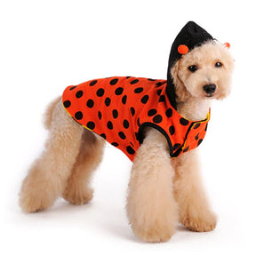 Dogo Pet - Ladybug & Bumblebee Reversible Costume