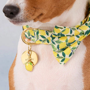 The Foggy Dog - Collar Charm Lemon