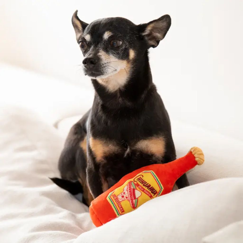 Lulubelles Hot Chihuahua Sauce Dog Toy