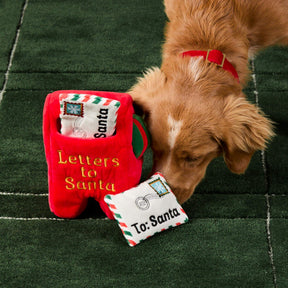 The Foggy Dog - Dog Toy Letters To Santa