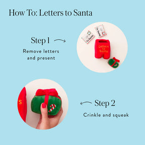 The Foggy Dog - Dog Toy Letters To Santa