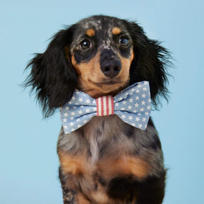 Dog Bow Tie Stars & Stripes