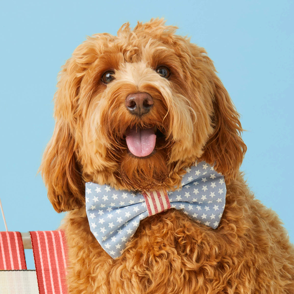 Dog Bow Tie Stars & Stripes