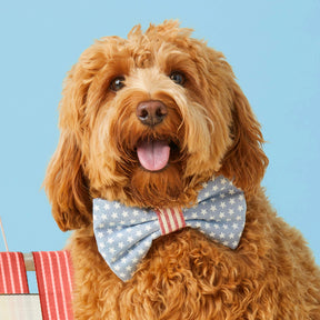 Dog Bow Tie Stars & Stripes