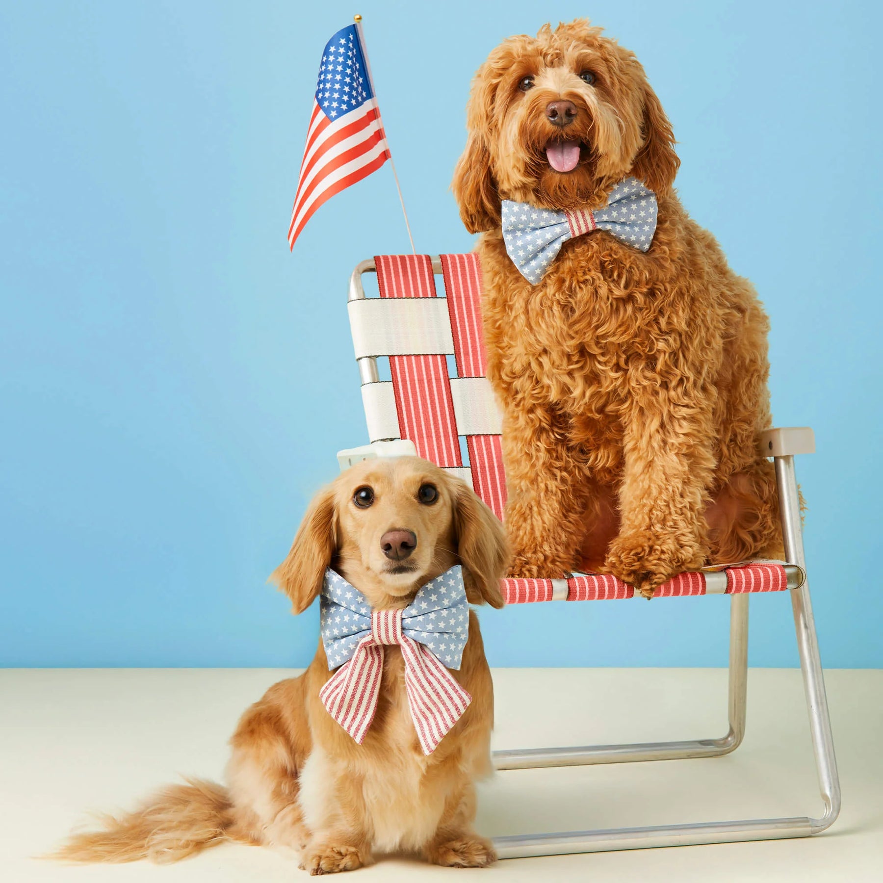 Lady Dog Bow Stars & Stripes